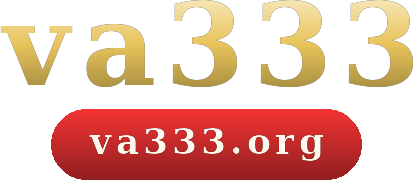 va333 logo